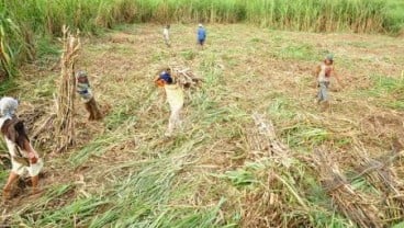 Masyarakat Adat Lampung Tuntut Hak Tanah Ulayat