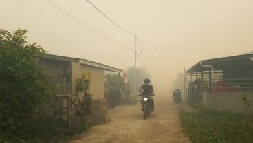 Luas Area Kebakaran Hutan Berkurang Drastis