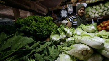 Begini Cara Menanam Sayur Sendiri di Lahan yang Terbatas