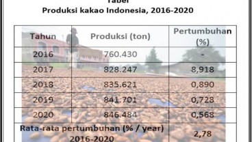 KOMODITAS PERKEBUNAN : Harumnya Kakao Jembrana