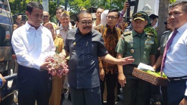 Kementan Pangkas Lama Proses Perizinan Ekspor Hortikultura