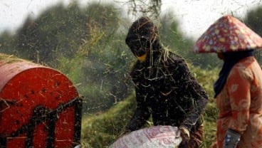 Jateng Ingin Pertanian Terpadu Berbasis Pesantren Digalakkan