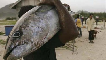 Permintaan Tuna dari Thailand ke Sulut Meningkat