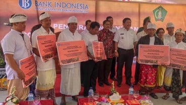 Petani Kakao Jembrana Dapat Bantuan Bank Indonesia