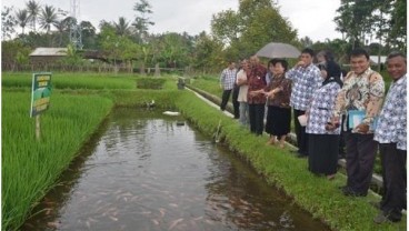 Pemprov Jateng Dorong Petani Lakukan Budidaya Mina Padi 