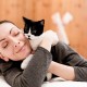 Tumor Jadi Penyakit Baru Yang Banyak Menjangkit Kucing & Anjing