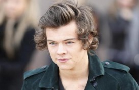 Harry Styles "One Direction" Jual Villa Miliknya dengan Diskon US$500.000 Lebih