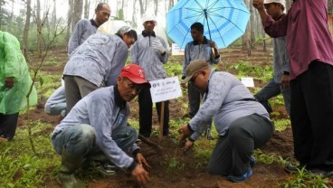 BI Kediri Inisiasi Pendirian Desa Wisata di Lereng Gunung Wilis