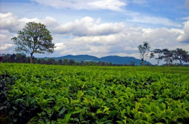 RASTER : Menjajakan Produk Agri Indonesia Hingga ke Ujung Dunia