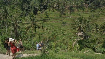 Karangasem Kembangkan 190 Desa Wisata