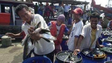 Perikanan Budi Daya Jadi Tumpuan, Kadin Minta Pemangku Kepentingan Tingkatkan Kerja Sama