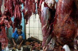 Harga Daging Sapi di Bandar Lampung Stabil
