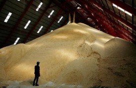 Produksi di Brasil Lampaui Estimasi, Kenaikan Harga Gula Terhenti