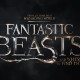 Resensi Film: Fantastic Beasts: The Crimes of Grindelwald
