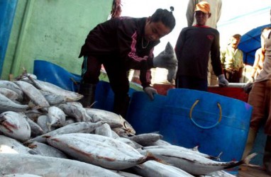 Harga Ikan Cakalang Segar di Ambon Naik 20 Persen