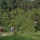 Alokasi Dana Desa Adat di Bali Naik 11% pada 2019