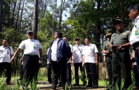 Pemerintah Berikan Hak Kelola 50.000 Hektare Hutan Sosial bagi 10.500 KK di Sumsel