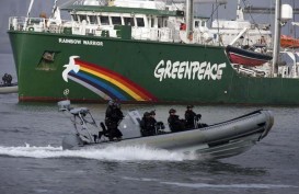 Apindo Usul Greenpeace Dibekukan di Indonesia