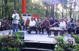Jokowi Klaim Perhutanan Sosial Peralihan dari Usaha Besar ke Masyarakat