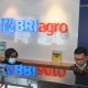 BRI Agro Kejar Realisasi KUR 20% sampai Akhir Tahun