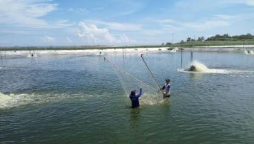 Perum Perindo Incar Tambahan Omzet Rp300 Miliar dari Pabrik Baru