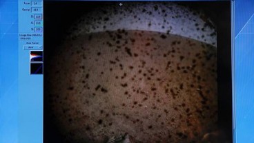 InSight Berhasil Mendarat di Mars