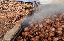 Harga Kopra Anjlok, Pemprov Sulut Kembangkan Industri Minyak Goreng Kelapa