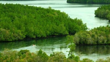 PT Pertamina EP Angkat Pesona Muara Gembong dengan Ekowisata Mangrove