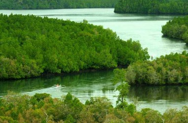 PT Pertamina EP Angkat Pesona Muara Gembong dengan Ekowisata Mangrove