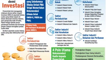 UMKM Tertutup untuk Asing, Hipmi: Relaksasi Investasi lebih Urgen