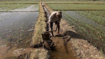 Perbankan di Jatim Diminta Lebih Berani Kucurkan Kredit Pertanian