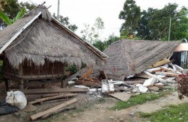 Hanya Sapi yang Berkeliaran, Desa Sembalun Belum Direnovasi Pasca Gempa