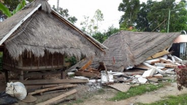 Hanya Sapi yang Berkeliaran, Desa Sembalun Belum Direnovasi Pasca Gempa