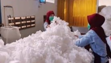 Permintaan Tinggi, KPAS Tingkatkan Kapasitas Produksi 300 Persen