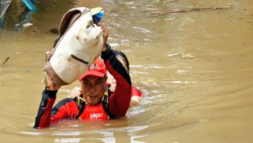 Bencana Banjir Masih Ancam Desa-Desa di Sumsel