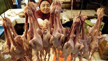 Harga Daging Ayam di Bali Naik 11% Menjelang Natal dan Tahun Baru