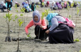 Pemkot Singkawang Bantu Kelompok Peduli Mangrove