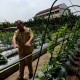 Surabaya Siapkan Wisata Mini Agro Jelang Libur Akhir Tahun