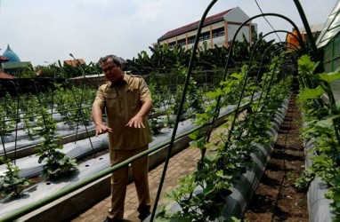 Surabaya Siapkan Wisata Mini Agro Jelang Libur Akhir Tahun