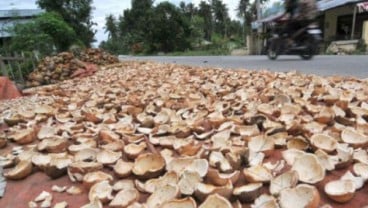 Harga Kopra di Sulut Berangsur Naik