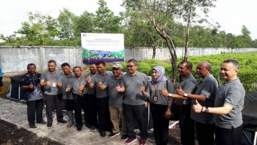 Panen Perdana Rumah Pangan di Banjarbaru Dinilai Berhasil