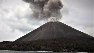 Update Korban Tsunami Selat Sunda: 43 Meninggal, 584 Luka-Luka, 2 Hilang