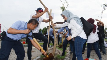 Sejumlah Kota Tanam Pohon Tabebuya yang Bunganya Menyerupai Sakura