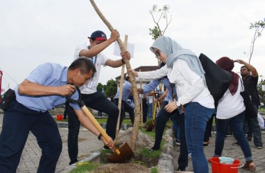 Sejumlah Kota Tanam Pohon Tabebuya yang Bunganya Menyerupai Sakura