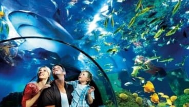 Sea Life Legoland Malaysia Resort Melakukan Pengisian Tangki Laut 400.000 Galon Air