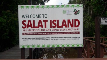 Jadi Persinggahan Orangutan, Pulau Salat Siap Dikembangkan Sebagai Kawasan Ekowisata