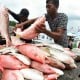 Akibat Cuaca Buruk, Harga Ikan Tenggiri Naik 83 Persen, Cumi-Cumi 129 Persen di Pangkalpinang