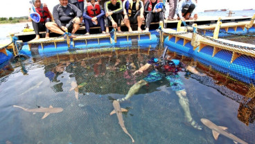 Kesan Menteri Rini Saat ke Banyuwangi