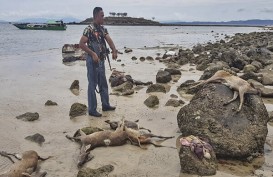 Polisi Tangkap Pemburu di Taman Nasional Komodo