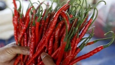 Jelang Tahun Baru, Harga Cabai Merah di Pangkalpinang Naik